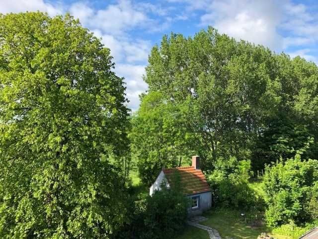 Villa Gulfhof Friedrichsgroden Carolinensiel Exterior foto
